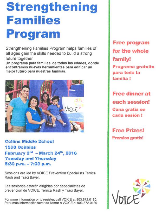 Strengthening Families/VOICE 