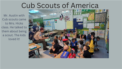  Cub Scouts