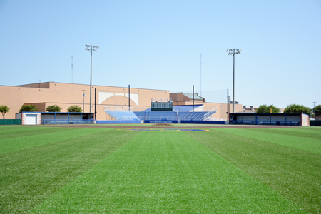 Center Field View 